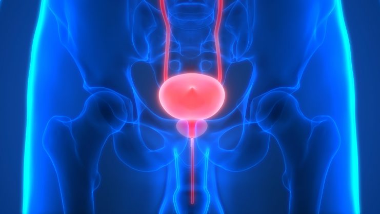 FDA oncological drugs advisory committee votes in support of Tecentriq in bladder cancer – Genentech/Roche