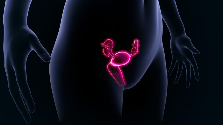 Myovant Sciences receives positive CHMP opinion for Ryeqo (relugolix combination tablet) for the treatment of women with uterine fibroids