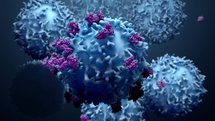 Protein disguise could be new target for cancer immunotherapy
