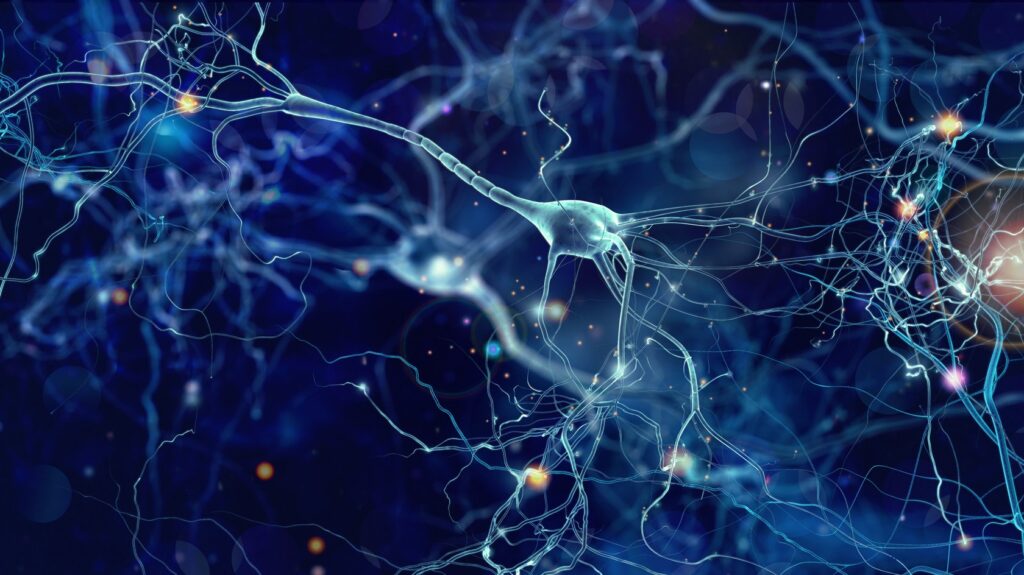 Researchers map human sensory neurons, pursue chronic pain cure