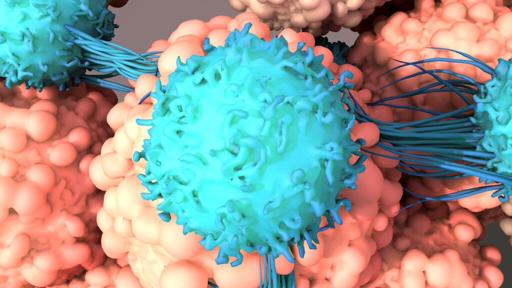 Researchers shorten manufacturing time for CAR T cell therapy