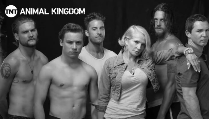 Animal Kingdom Season 6 Premiere Date, Plot, Cast & More