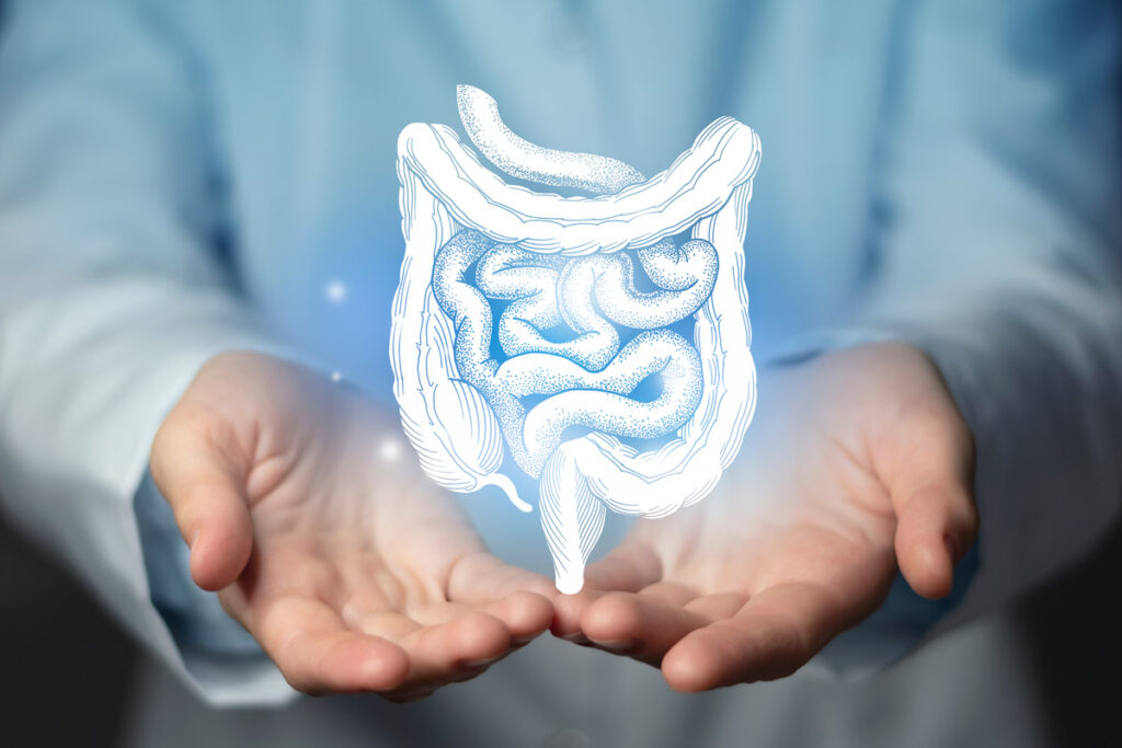 Boosting survival of a beneficial bacterium in the human gut
