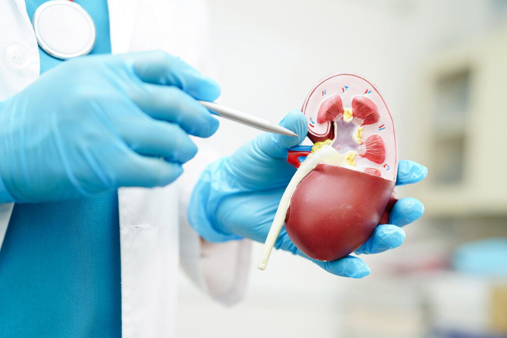 Study finds certain substances in urine, blood can predict kidney disease progression